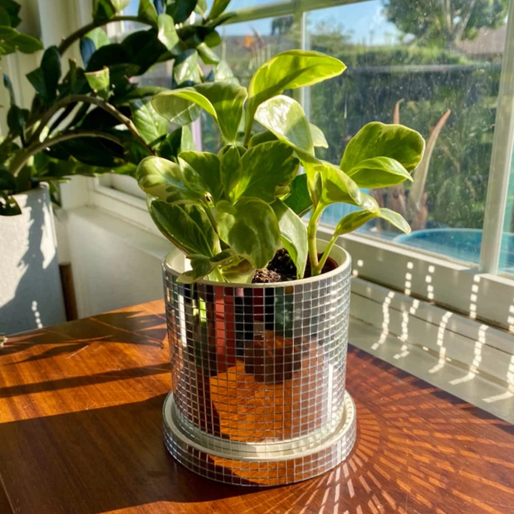 Ceramic Disco Ball Planter